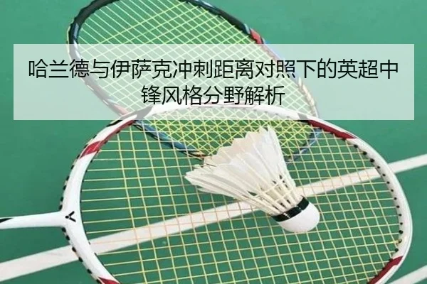 哈兰德与伊萨克冲刺距离对照下的英超中锋风格分野解析